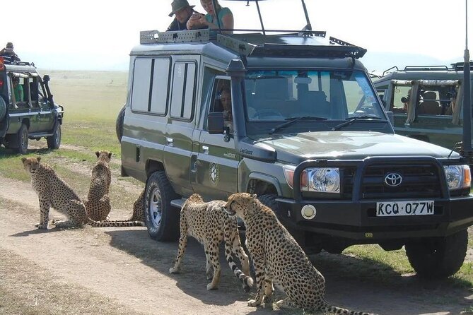 Maasai Mara 3 Day Guided Tour - Transportation and Logistics