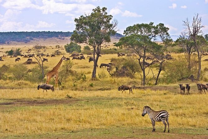 Maasai Mara 3 Day Guided Tour - Optional Activities