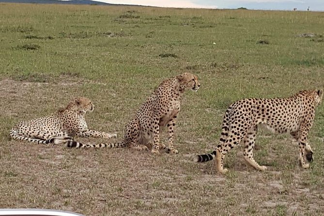 Maasai Mara Game Reserve - Meeting Point and Start Time