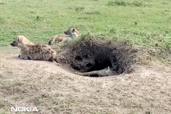 Maasai Mara Game Reserve - Accessibility and Safety Considerations
