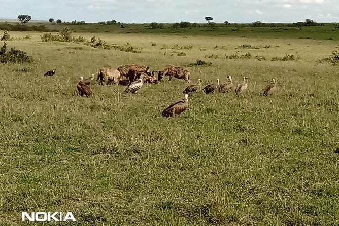 Maasai Mara Game Reserve - Tour Duration and Group Size