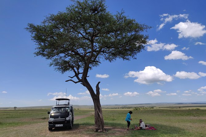 Maasai Mara Safari!! - Delectable Meals Included