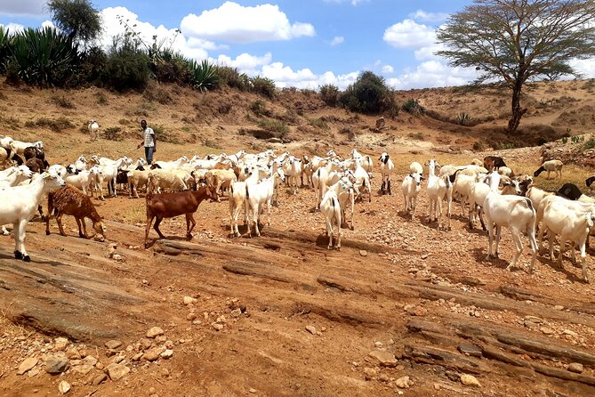 Maasai Village Experience Day Tour - Accessibility and Group Size