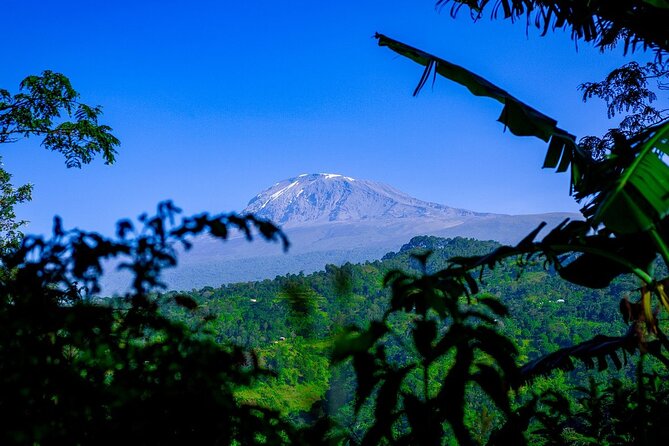 Maasai Village Visit, Materuni Waterfalls & Coffee Experience - Tour Duration and Difficulty