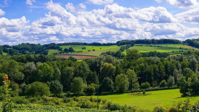 Maastricht: 8-Hour Culinary Car Tour of South Limburg - Important Information