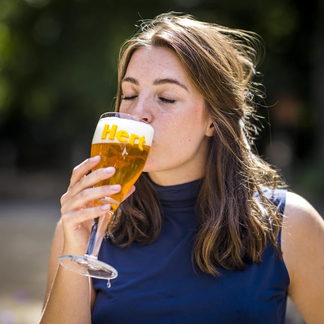 Maastricht: 8-Hour Culinary Car Tour of South Limburg - Lunch in a Forest Café