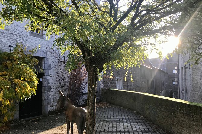 Maastricht Heritage and Nature Tour - Inclusions and Accessibility