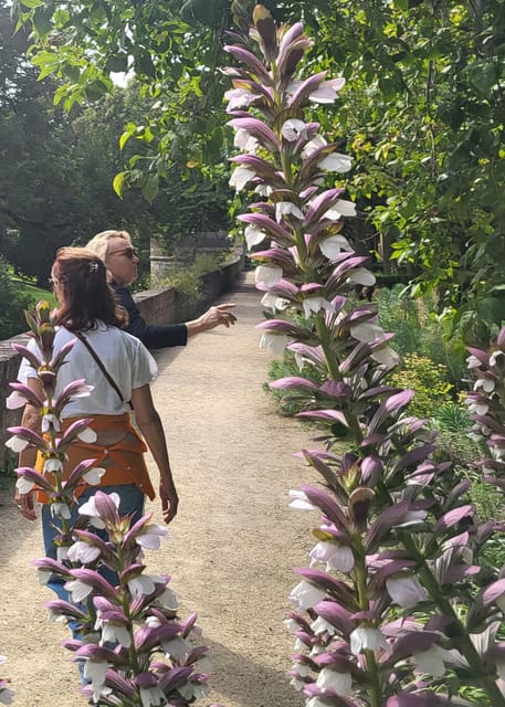 Maastricht Hidden Gems Tour Uncover the Unexpected - Walking the City Wall Along the Jeker