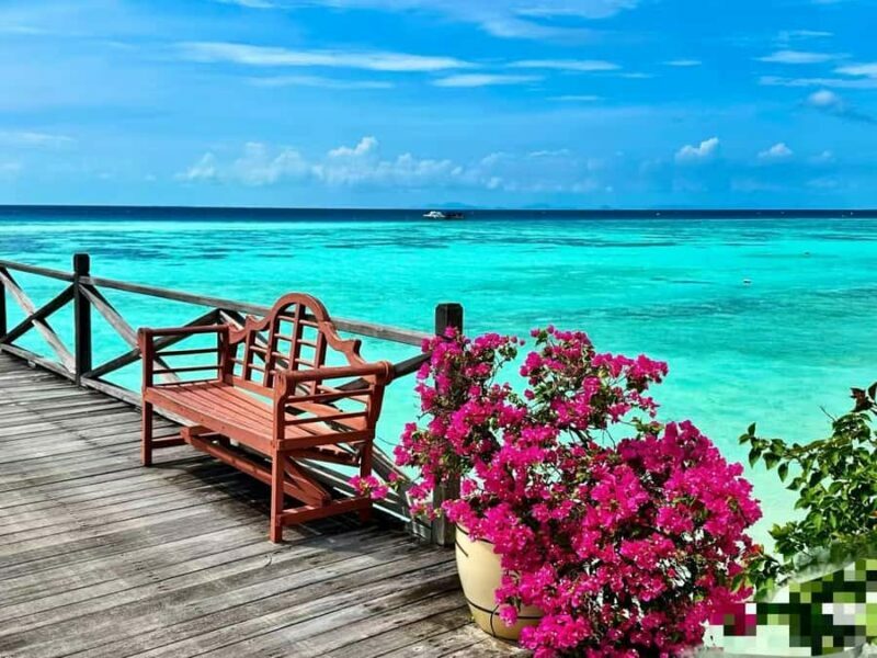 Mabul-Kapalai Islands Diving & Lunch &Photography Tour - Key Points