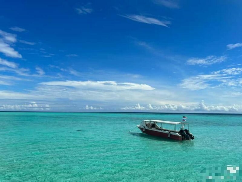 Mabul-Kapalai Islands Diving & Lunch &Photography Tour - An In-Depth Look at the Tour Experience