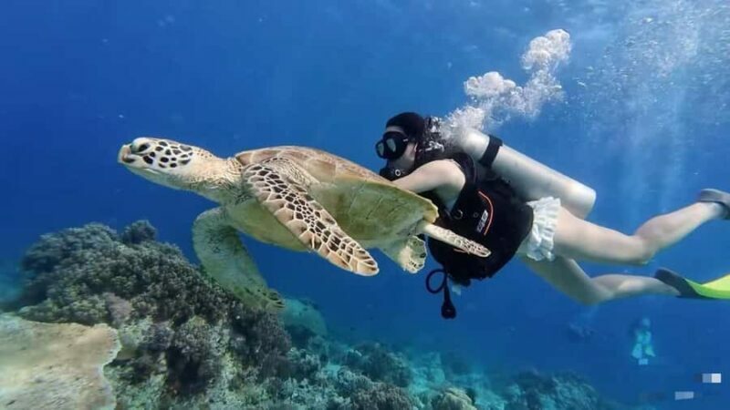 Mabul-Kapalai Islands Diving & Lunch &Photography Tour - The Sum Up: Who Will Love This Tour?
