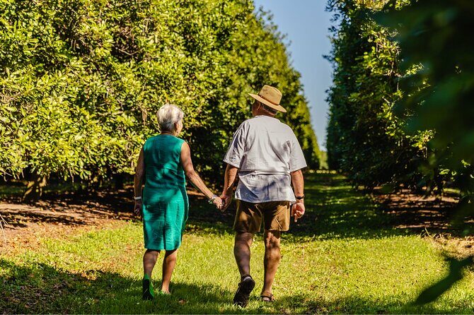 Macadamias Australia Orchard Tour in Bundaberg - Key Points