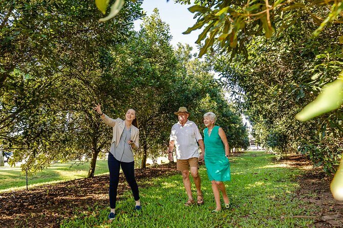 Macadamias Australia Orchard Tour in Bundaberg - A Closer Look at the Tour Itinerary