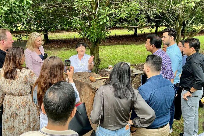 Macadamias Australia Orchard Tour in Bundaberg - Authentic Feedback from Visitors