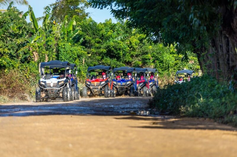 Macao Beach: Buggy Safari and Cenote Swimming With Pickup - Key Points