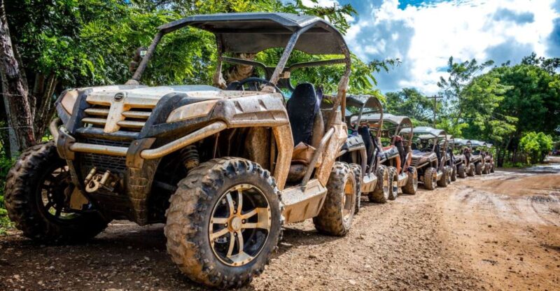 Macao Beach: Buggy Safari and Cenote Swimming With Pickup - Experience Highlights