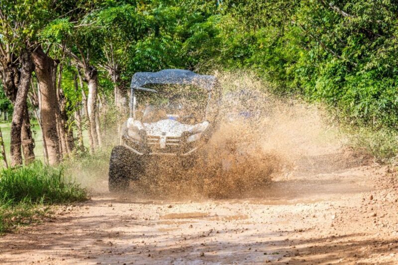Macao Beach: Buggy Safari and Cenote Swimming With Pickup - Inclusions and Transportation