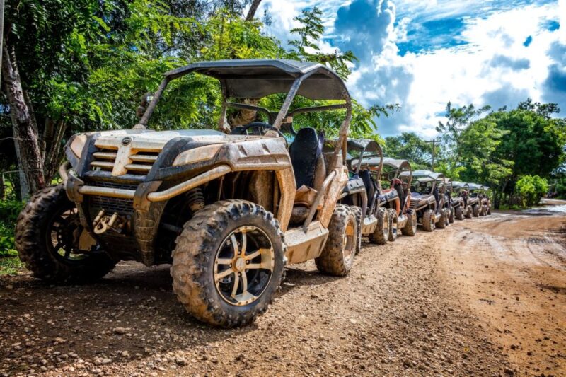Macao Beach: Buggy Safari and Cenote Swimming With Pickup - Customer Feedback and Ratings