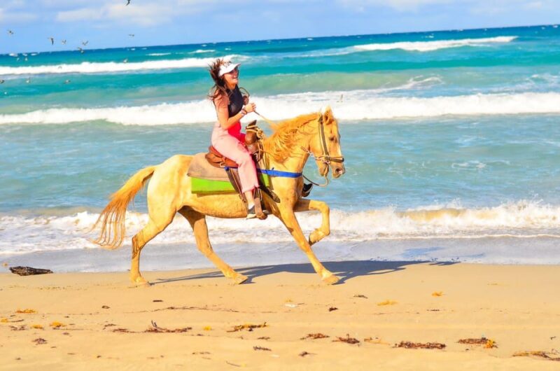 Macao Beach & Forest Horseback Adventure - Customer Feedback
