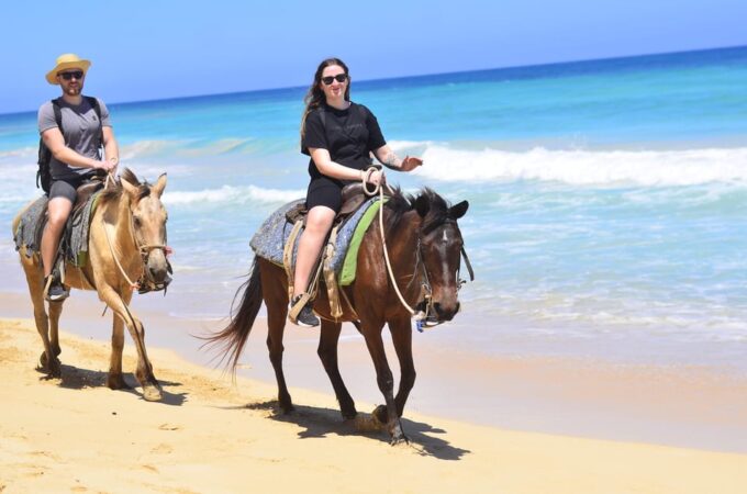 Macao Beach & Forest Horseback Adventure - Safety Precautions
