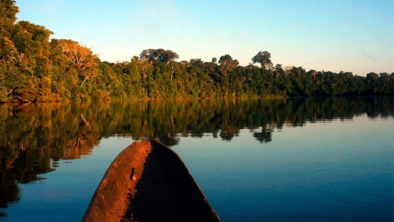 Macaw Clay Lick 2D Excursion | Sunset in the Jungle | - Languages and Group Size