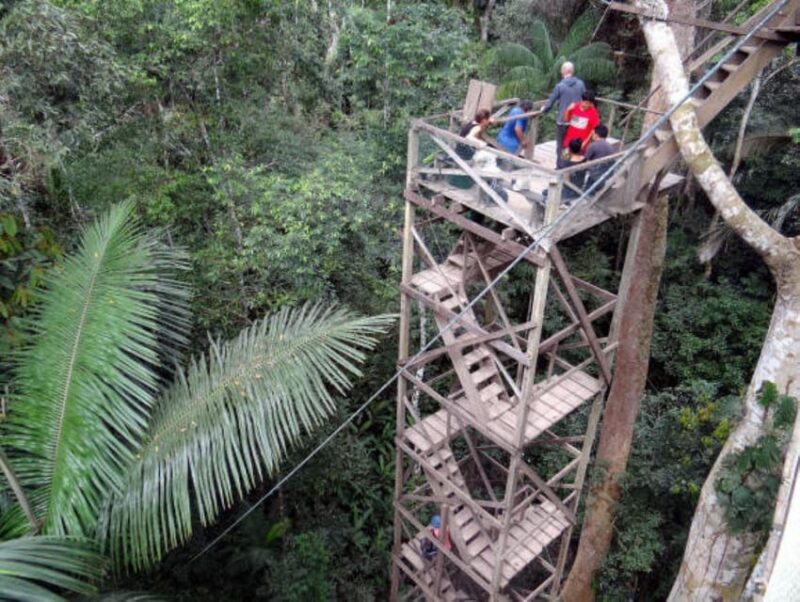 Macaw Clay Lick Chuncho Discovery 3D/2N - Experience Highlights
