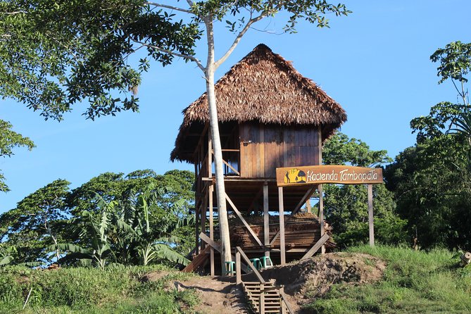 Macaw Collpa & Sandoval Lake 4 Days / 3 Nights - Detailed Itinerary