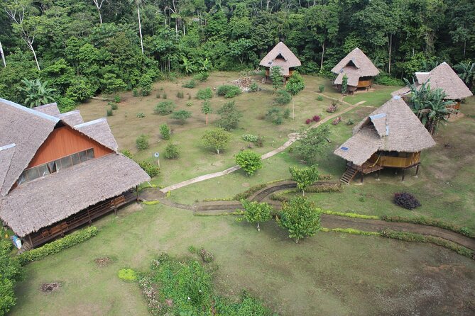 Macaw Collpa & Sandoval Lake 4 Days / 3 Nights - Wildlife Spotting Opportunities