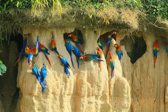 Macaw Collpa & Sandoval Lake 4 Days / 3 Nights - Accommodation and Lodges