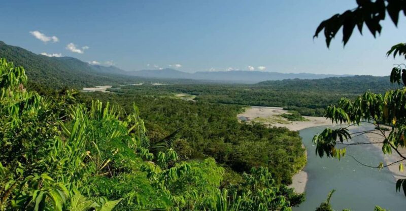 Macaw Magic: 3 Days at Tambopatas Clay Lick - Inclusions and Logistics