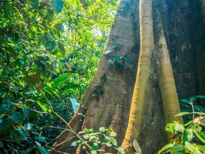 Macaw Magic: 3 Days at Tambopatas Clay Lick - Frequently Asked Questions