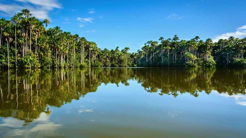 Macaws Chuncho Excursion 4D/3N - Dining and Meals