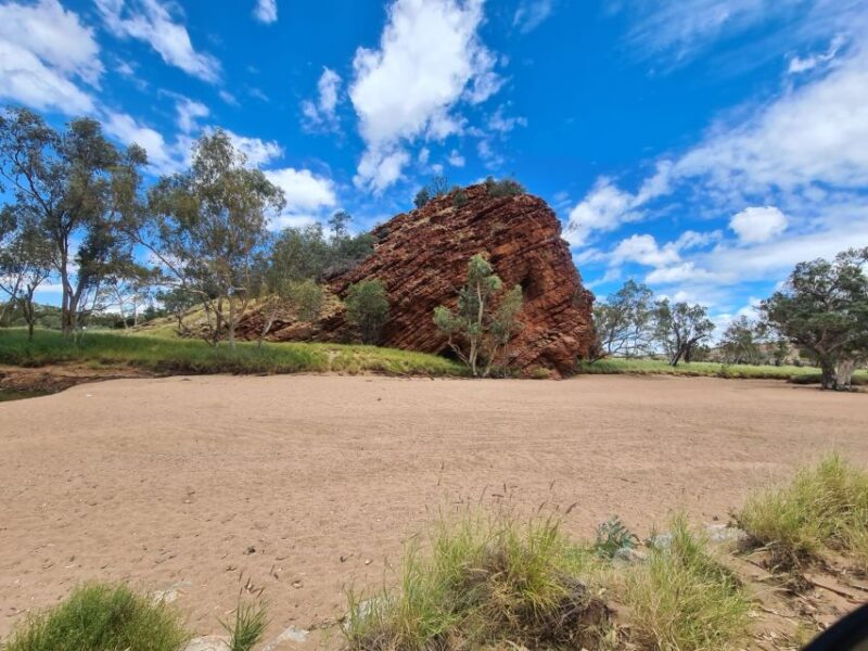 MacDonnell Ranges & Alice Town Highlights Full Day Tour - Key Points
