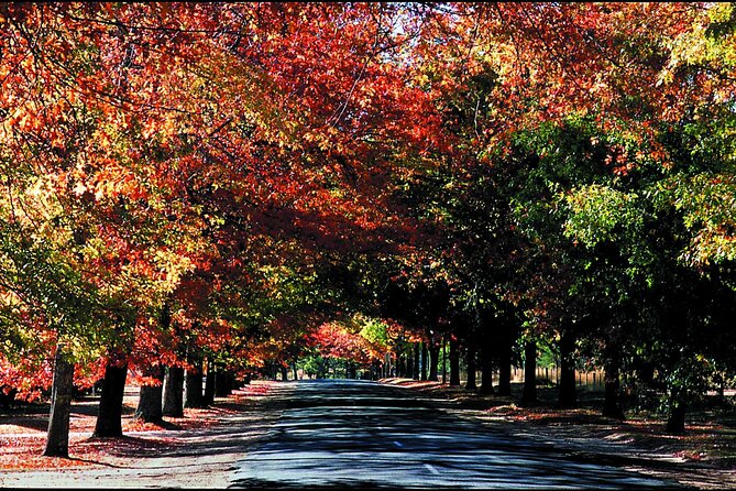 Macedon Ranges Small Group Wine Tour With 2 Course Lunch - Key Points