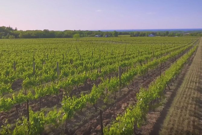 Macedon Ranges Small Group Wine Tour With 2 Course Lunch - Inclusions