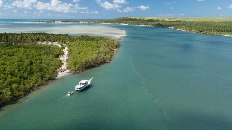 Maceio: Tour to Gunga Beach - Price and Booking