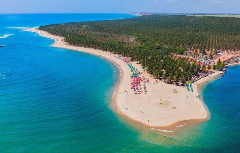 Maceio: Tour to Gunga Beach - Tour Highlights
