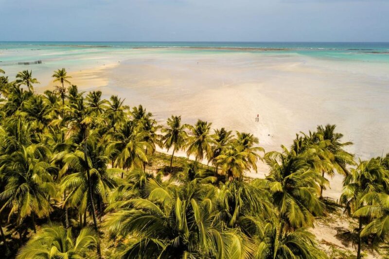 Maceio: Tour to Maragogi Beach - Highlights