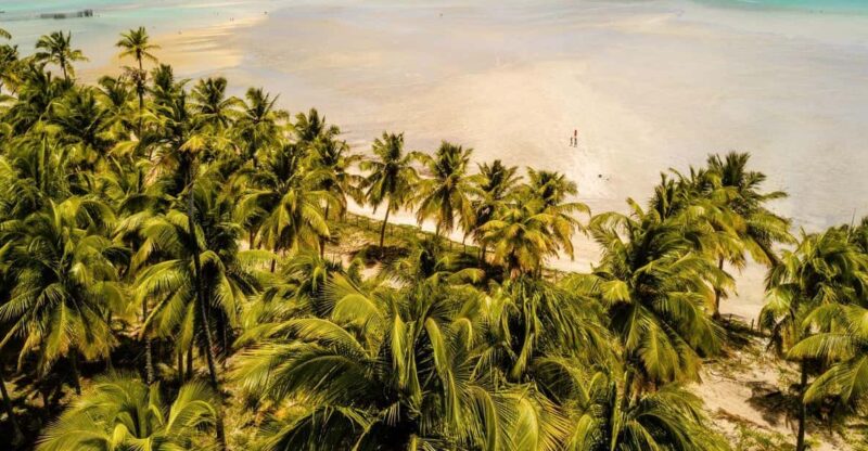 Maceio: Tour to Maragogi Beach - Inclusions