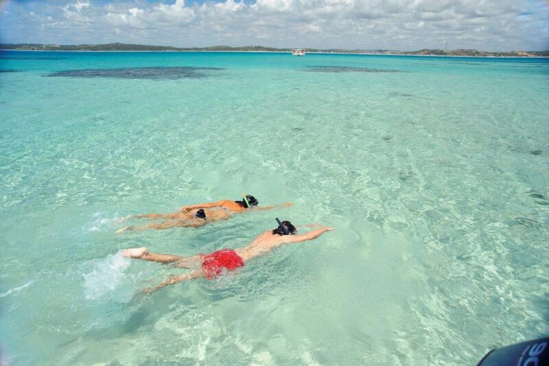 Maceio: Tour to Maragogi Beach - Location and Ecosystem