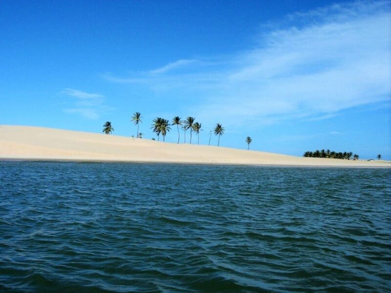 Maceio: Tour to São Francisco River - Tour Highlights