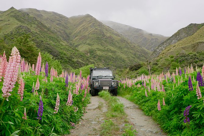 Macetown 4WD Tour From Queenstown - Included Refreshments and Snacks