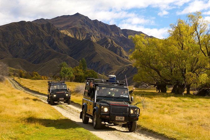 Macetown 4WD Tour From Queenstown - Tour Requirements and Accessibility
