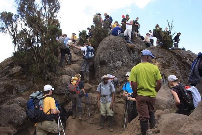 Machame Route 6 Days 5 Nights/Kilimanjaro Climb - Popularity and Difficulty of the Route