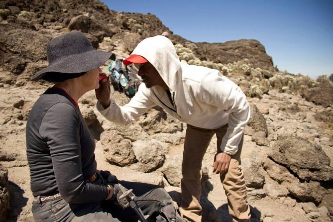 Machame Route 6 Days 5 Nights/Kilimanjaro Climb - Success Rate Comparison
