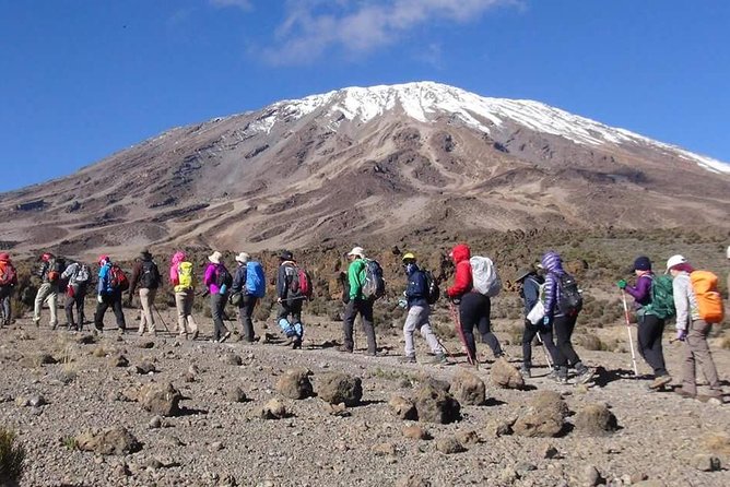 Machame Route 6 Days 5 Nights/Kilimanjaro Climb - Acclimatization and Sunrise Opportunity
