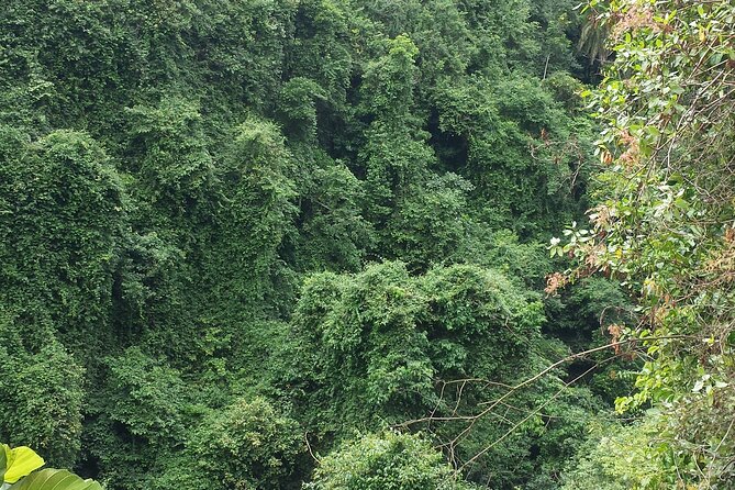 Machame Route - Camping Experience and Amenities