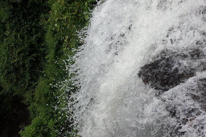 Machame Route - Pricing and Cancellation Policy