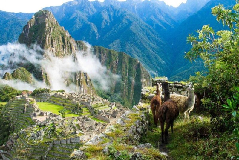 Machu Picchu 1 Day Adventure + Lunch - Highlights of Machu Picchu