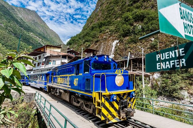 Machu Picchu 1-Day By Panoramic Vistadome Train - Lunch and Return